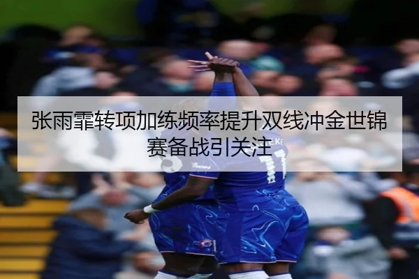 张雨霏转项加练频率提升双线冲金世锦赛备战引关注
